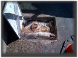 drains-blocked-newsletter001005.jpg